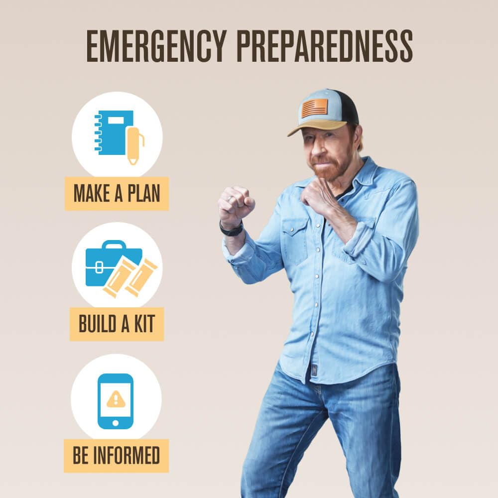 Roundhouse Provisions by Chuck Norris – Emergency Survival Food Bars, High-Calorie Lemon Shortbread with 14 Vitamins & Minerals, 5-Year Shelf Life - Image 6