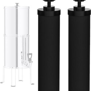 NSF/ANSI 42 Certified Black Purific...