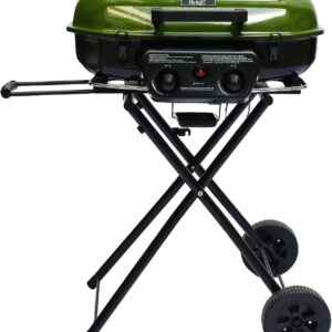 Flintex 2-Burner Portable Propane G...