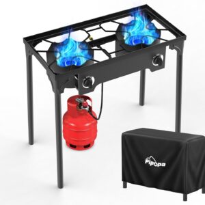 2 Burner Propane Gas Stove | Waterp...