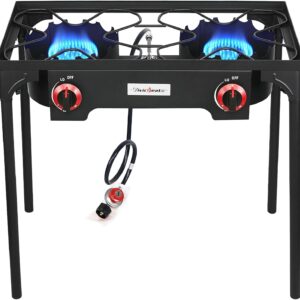 VIVICREATE Propane Grill 2 Burner O...