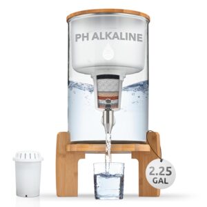 Invigorated Water pH Recharge Glass...