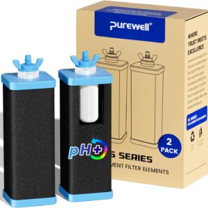 Purewell 5-Stage Composite Carbon F...