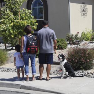 Pet Emergency Survival Kit for Big ...