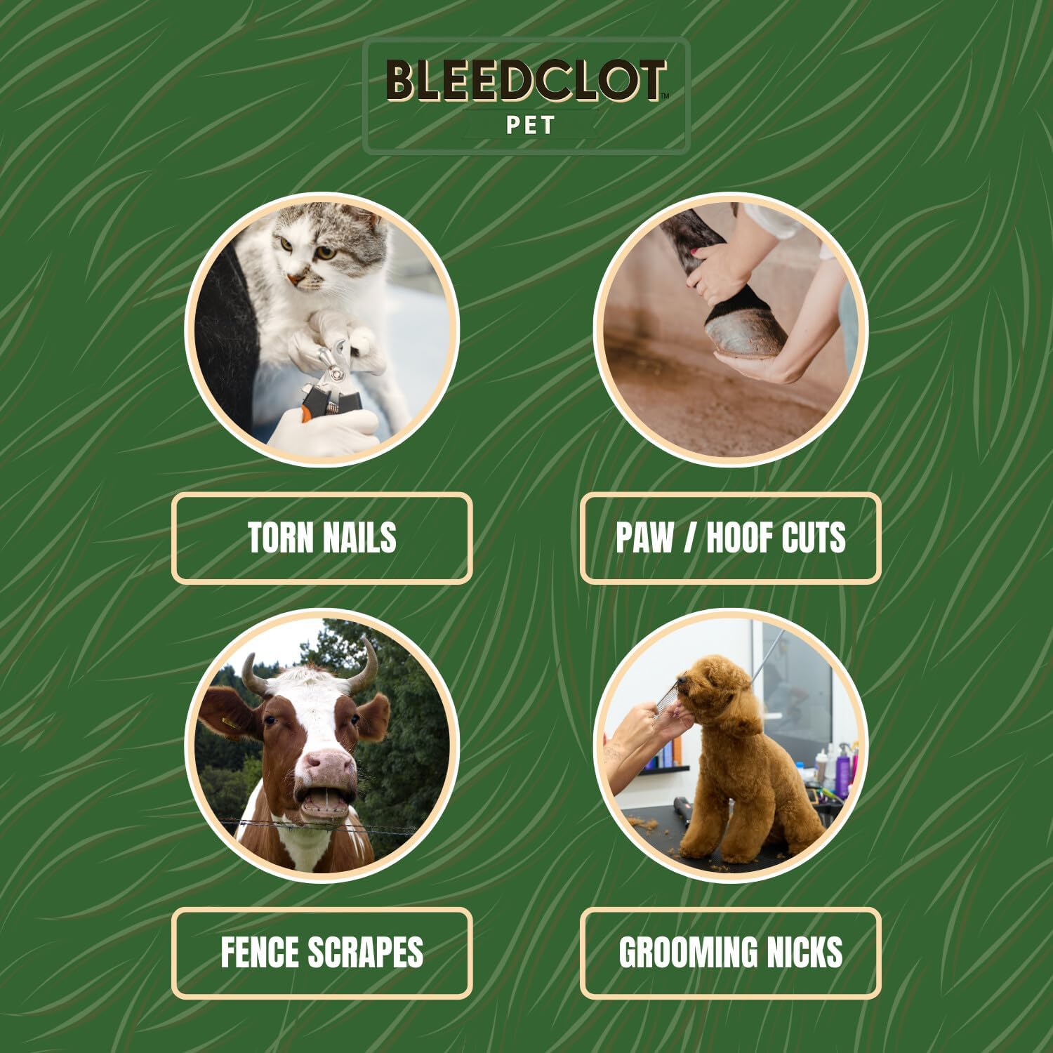 First Aid Blood Clotting Powder | The Best for All Animals to Stop Bleeding, Guaranteed | for Minor Cuts and Severe Arterial Bleeding | from The Makers of BleedStop (4 Pouches (0.5 oz)) - Image 4
