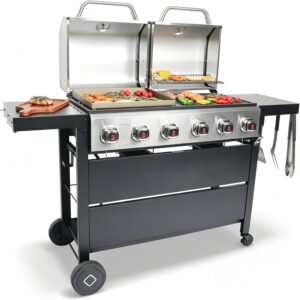 Flintex 6 Burner Propane Gas Grill ...